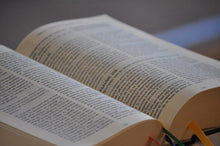 Charger l'image dans la galerie, La Bible essénienne