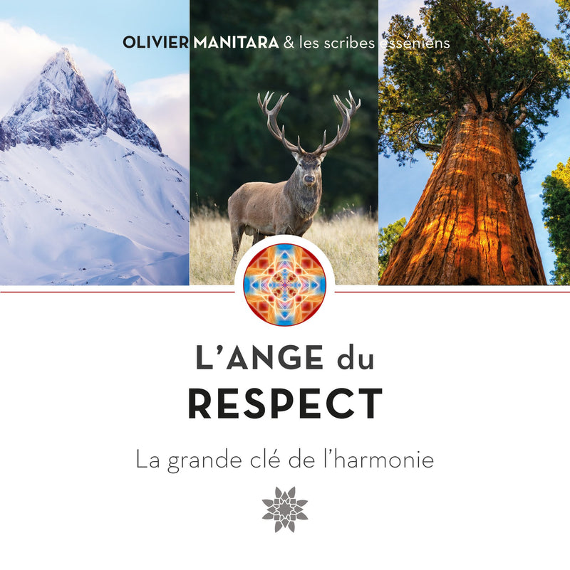 L’Ange du respect