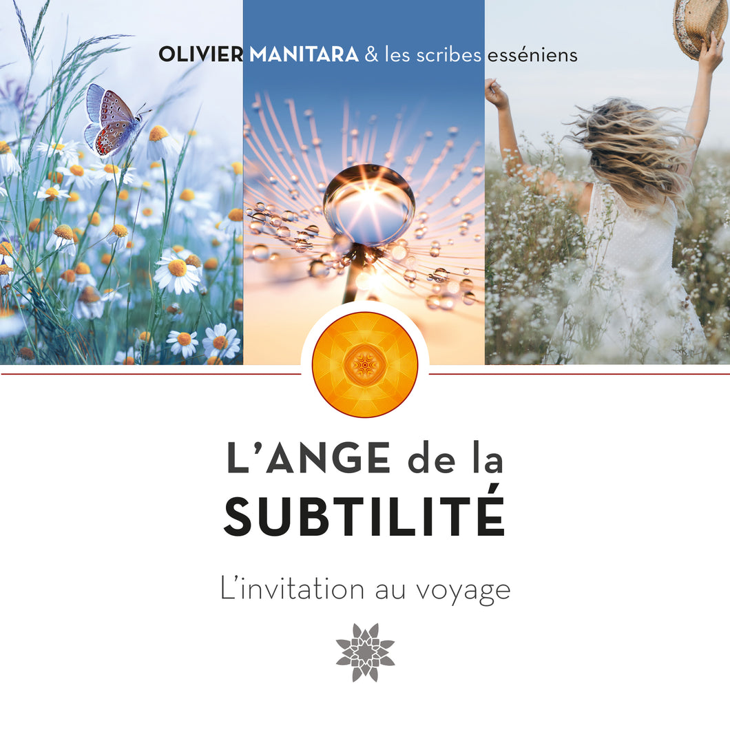 L'Ange de la subtilité